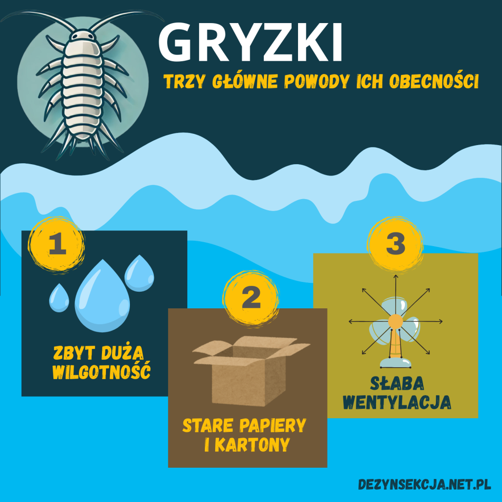 Infografia
GRYZKI : Trzy główne powody ich obecności
1. Zbyt duża wilgotność
2. Stare papiery i kartony
3. Słaba wentylacja
dezynsekcja.net.pl
